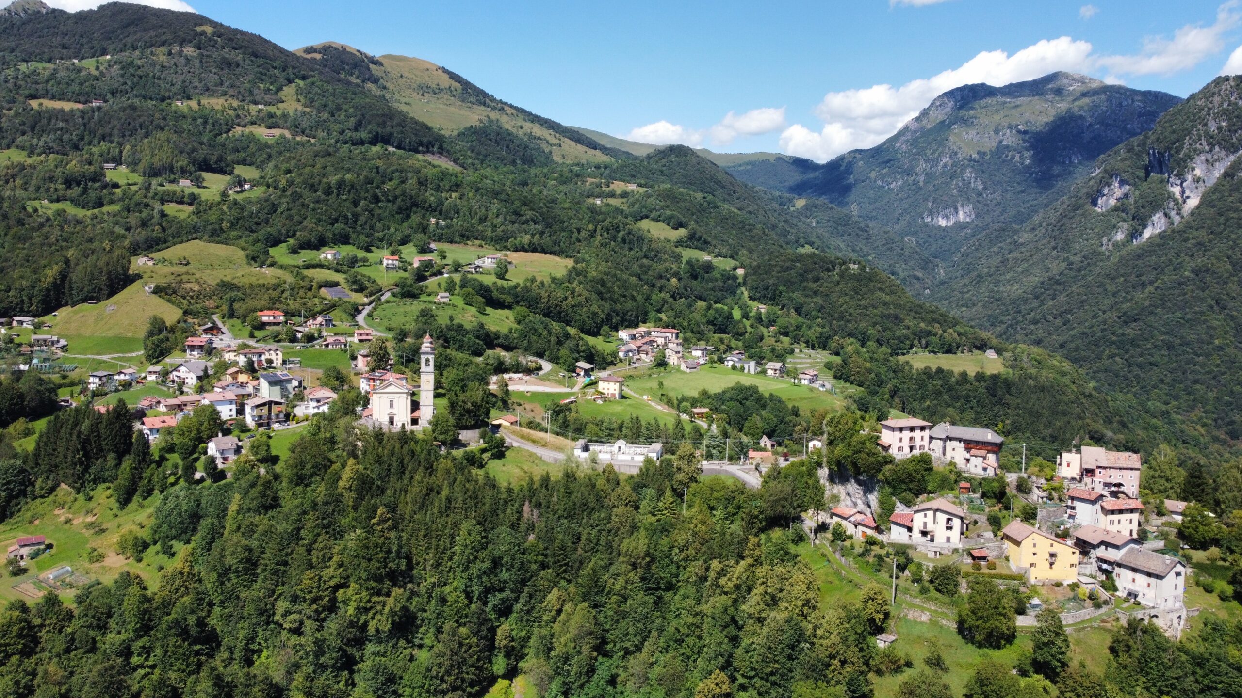 Taleggio